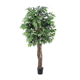 Vickerman Artificial Ficus Executive Potted Tree, 6'