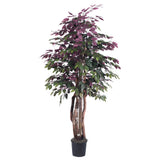 Vickerman Artificial Capensia Executive Potted Tree, 6'