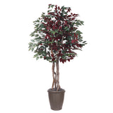 Vickerman Artificial Capensia Executive Potted Tree, 6'