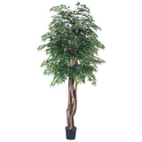 Vickerman Artificial Ming Aralia Extra Full Series, 6'