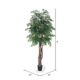 Vickerman Artificial Ming Aralia Extra Full Series