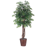 Vickerman Artificial Ming Aralia Extra Full Series, 6'