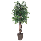 Vickerman Artificial Ming Aralia Extra Full Series, 6'