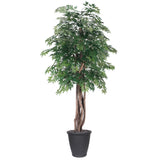 Vickerman Artificial Ming Aralia Extra Full Series, 6'