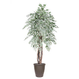Vickerman Artificial Silver Maple Extra Full Series, 6'