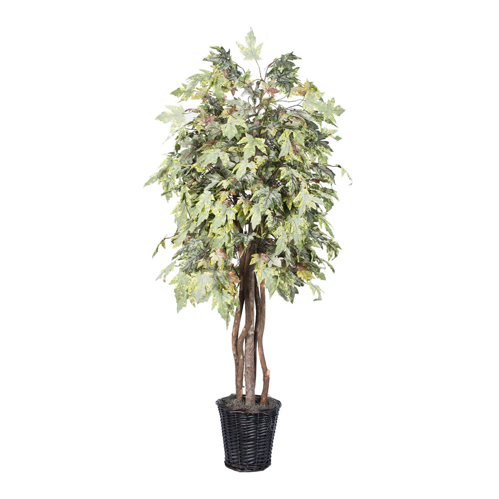Vickerman Artificial Frosted Maple Extra Full Series, 6'