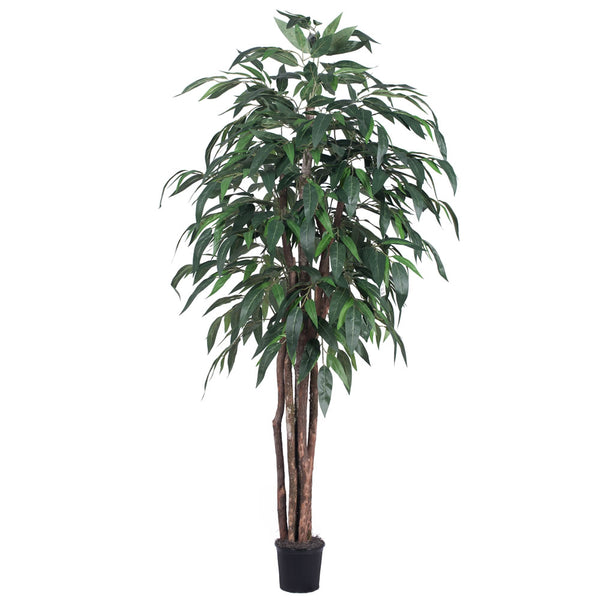Vickerman Vickerman Artificial Mango Extra Full Series