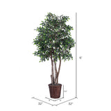 Vickerman Artificial Mini Ficus Extra Full Series