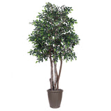 Vickerman Artificial Mini Ficus Extra Full Series, 6'