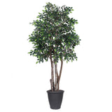 Vickerman Artificial Mini Ficus Extra Full Series, 6'