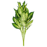Vickerman Artificial Green and White Dieffenbachia Plant, 3'