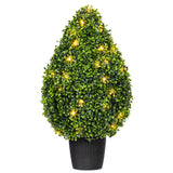 Vickerman Boxwood Teardrop Shaped Bush, 24"