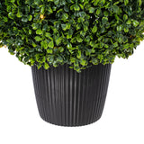 Vickerman Boxwood Teardrop Shaped Bush