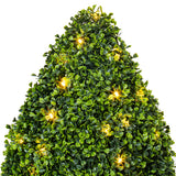 Vickerman Boxwood Teardrop Shaped Bush