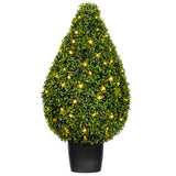 Vickerman Boxwood Teardrop Shaped Bush, 36"