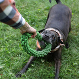 Tik-Tak-Tugzz Rope Dog Toy