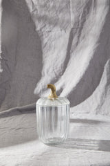 Translucent Pumpkin Terrarium By Accent Decor
