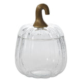 Translucent Pumpkin Terrarium By Accent Decor