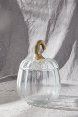 Translucent Pumpkin Terrarium By Accent Decor