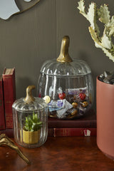 Translucent Pumpkin Terrarium By Accent Decor