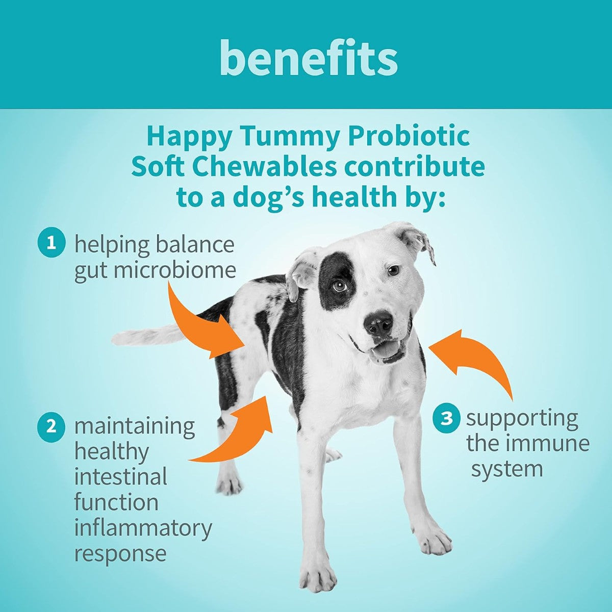 Treatibles Happy Tummy Probiotic for Dogs Soft Chewables, 5.3 oz, 60 Count - Digestive Support, Immune System, Gut Health