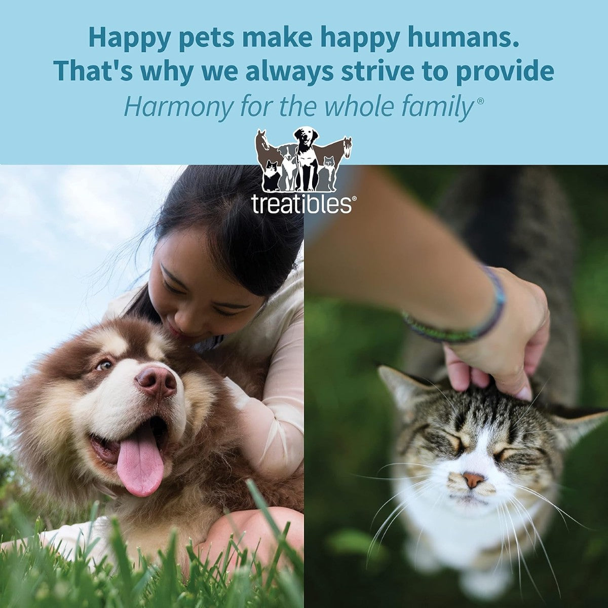 Treatibles Happy Tummy Probiotic for Dogs Soft Chewables, 5.3 oz, 60 Count - Digestive Support, Immune System, Gut Health