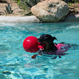 Tug-n-Toss Dog Ball with Handle