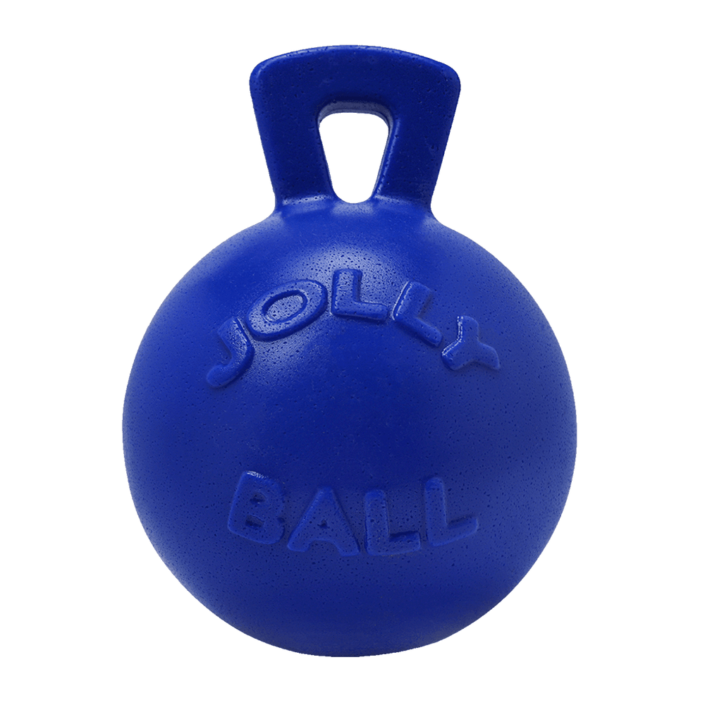Tug-n-Toss Dog Ball with Handle - Small 4.5" / Blue
