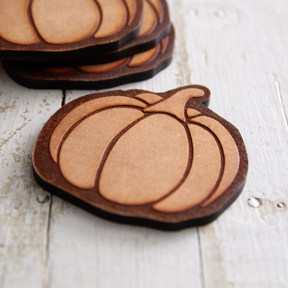 Wood Burned Pumpkin Coasters, Set of 4 By CTW Home Collection