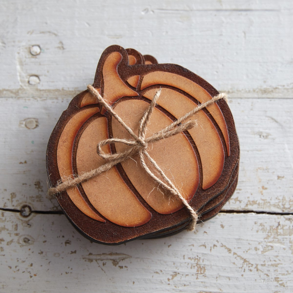 Wood Burned Pumpkin Coasters, Set of 4 By CTW Home Collection