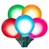 Vickerman G50 Glass Filament LED Light Set, Multi-Colored