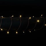Vickerman 50-Light Coaxial Wide Angle LED Christmas Light Set, 25'