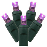 Vickerman 70-Light Wide Angle LED Christmas Light Set, 35', Green Wire, Purple, Wide Angle