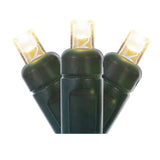 Vickerman Wide Angle LED Christmas Light Set, Green Wire, 50 Lights, 25', Warm White