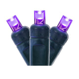 Vickerman Wide Angle LED Christmas Light Set, Green Wire, 50 Lights, 25', Purple