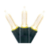 Vickerman Italian Mini LED Christmas Light Set, Green Wire, 50 Lights, 25', Warm White