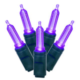 Vickerman Italian Mini LED Christmas Light Set, Green Wire, 50 Lights, 25', Purple