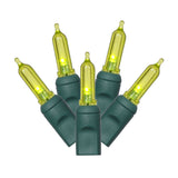 Vickerman Italian Mini LED Christmas Light Set, Green Wire, 50 Lights, 25', Lime