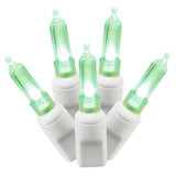 Vickerman Italian Mini LED Christmas Light Set, White Wire, 100 Lights, 34', Green