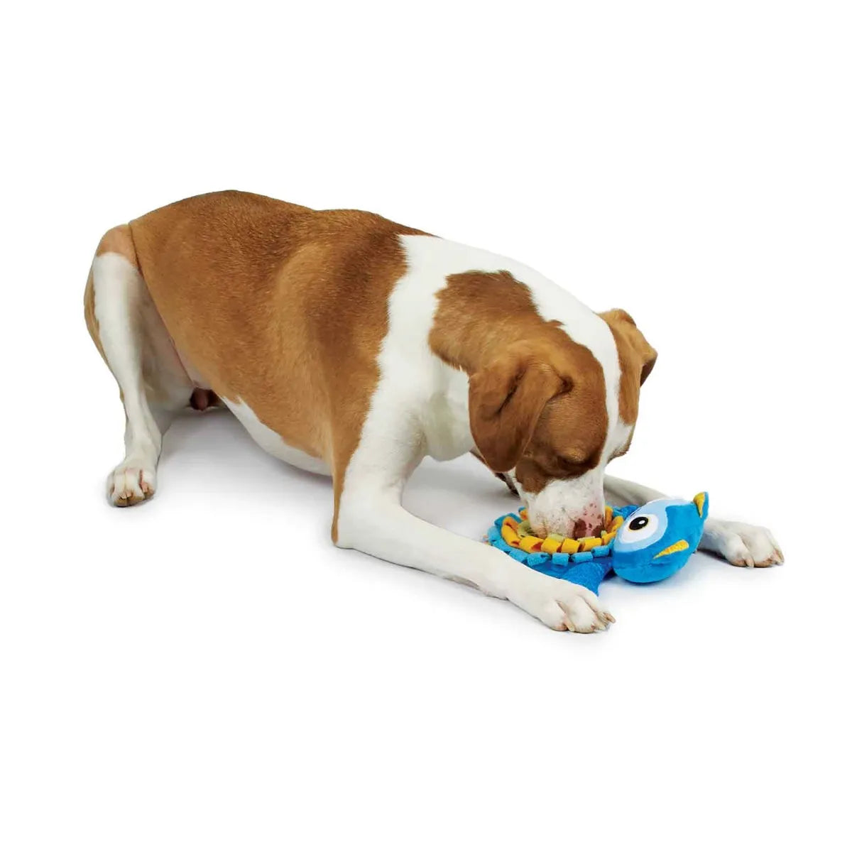 Zanies Sniffari Toys (Multiple Styles Available)