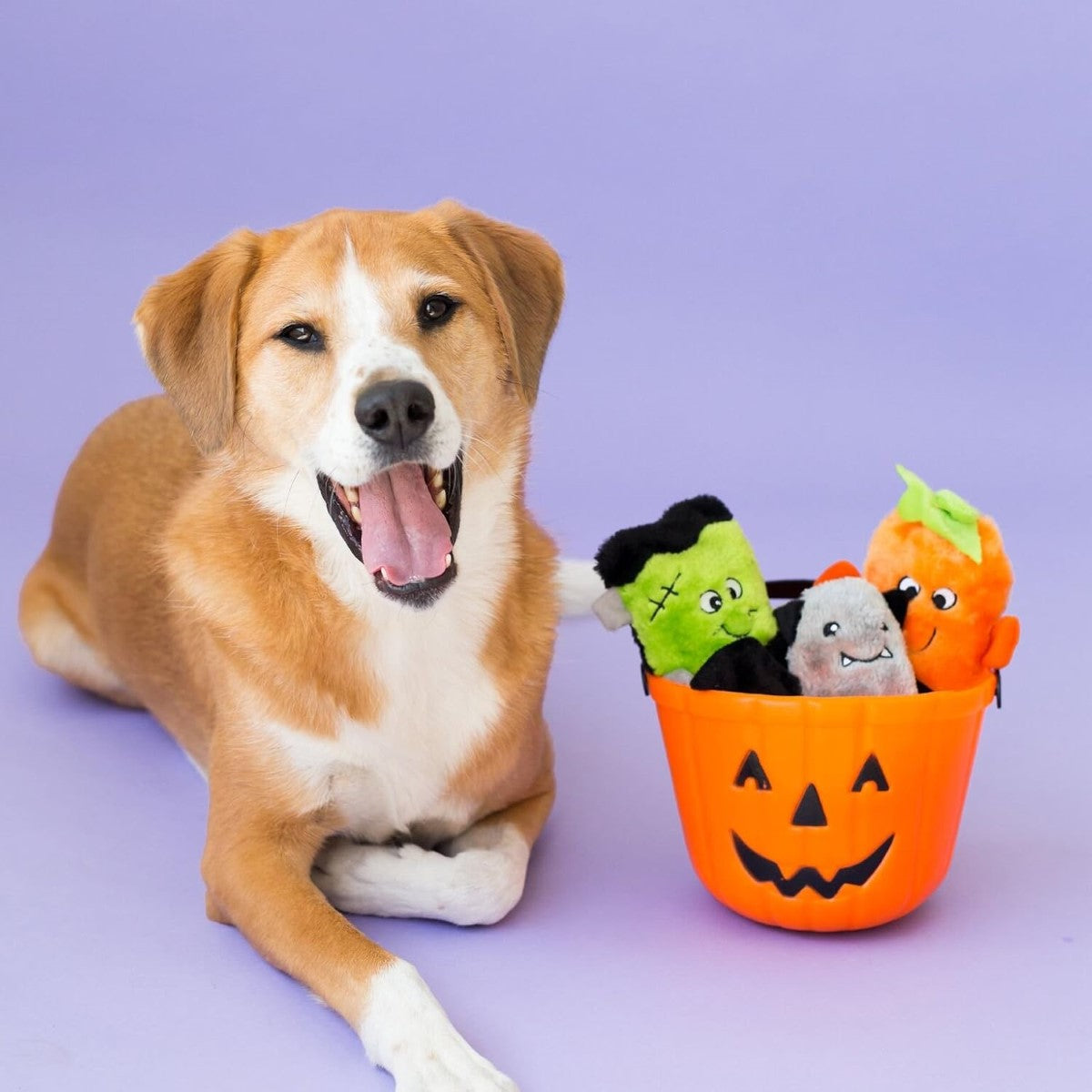 ZippyPaws Halloween Squeakie Buddies Plush Dog Toy 3-Pack