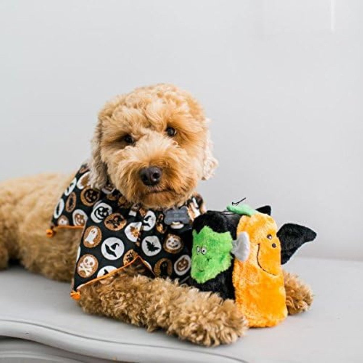 ZippyPaws Halloween Squeakie Buddies Plush Dog Toy 3-Pack