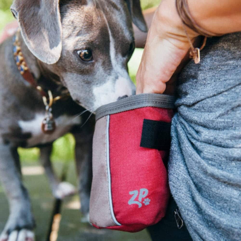 ZippyPaws Adventure Treat Bag (Multiple Styles Available)