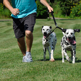 Adjustable 2-Dog Coupler