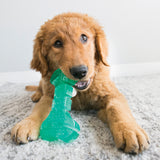 KONG Squeezz Dental Bone Dog Toy, Medium - view 2