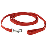 Train Right! Cotton Web Dog Training Leash, 5/8"