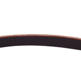 Circle T Latigo Leather Dog Leash, 6'