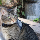 Adjustable Cat Wrap Harness with 6' Leash