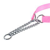Adjustable Check Training Collar with Buckle for Dogs