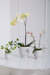 Adrien Textured Carved Pots By Accent Decor